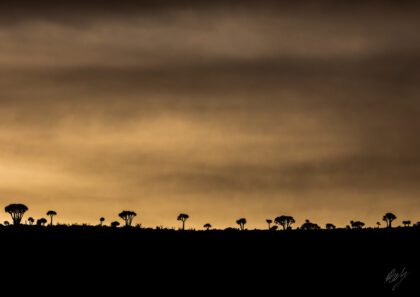 Karoo Storm