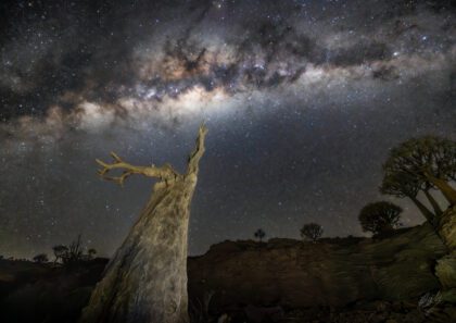 Point at the Stars